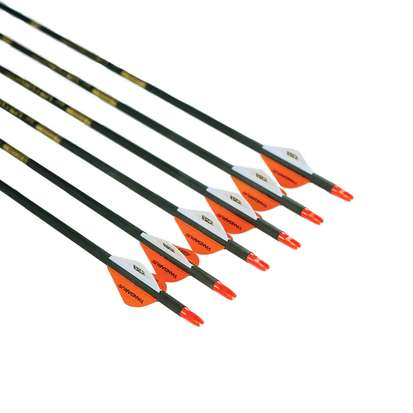 Стрела лучная карбоновая Pandarus X-Hunter