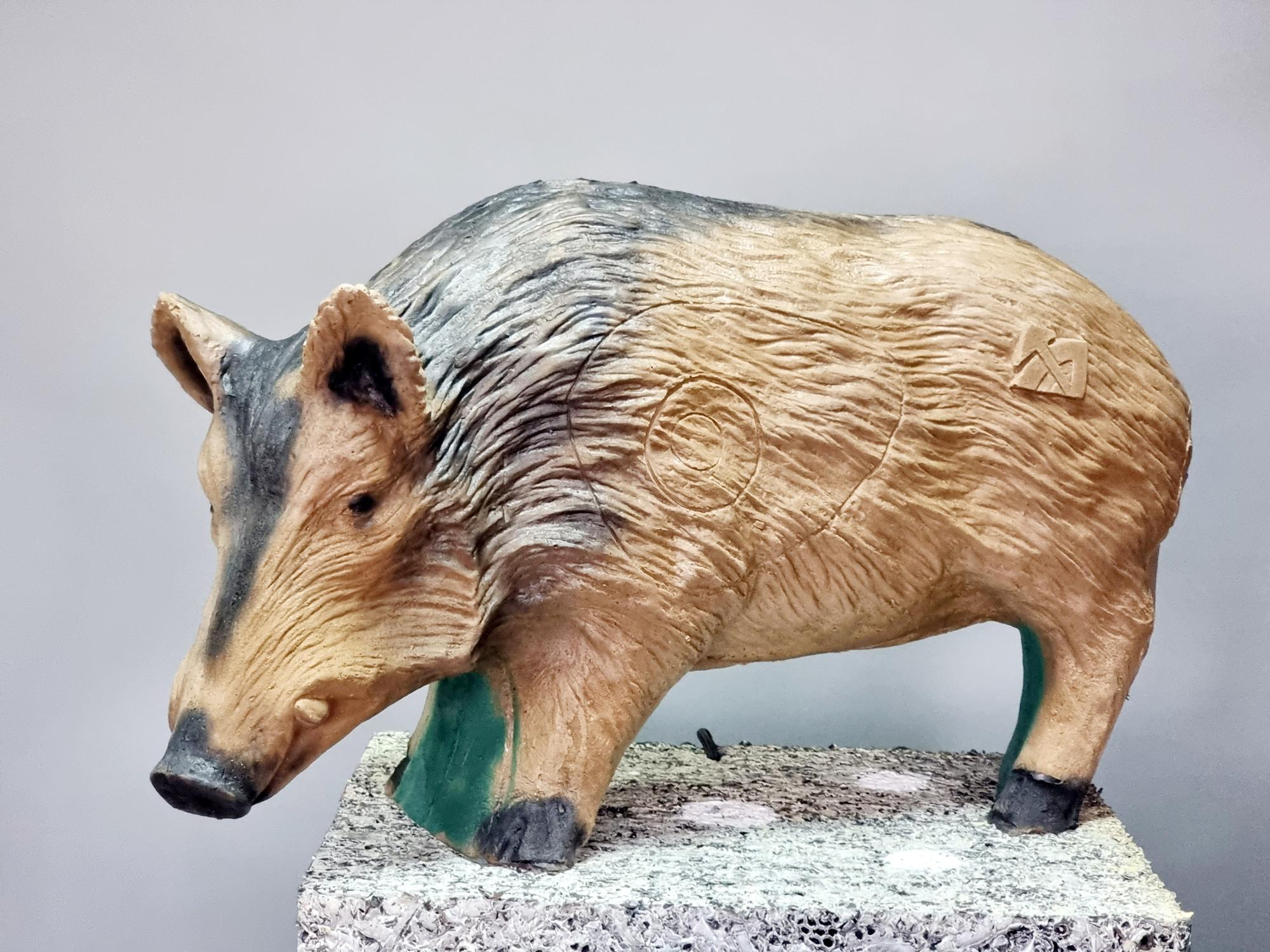 3D Мишень Свинья дикая