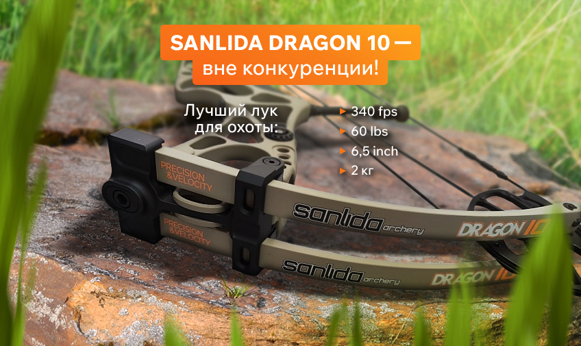 Sanlida Dragon 10