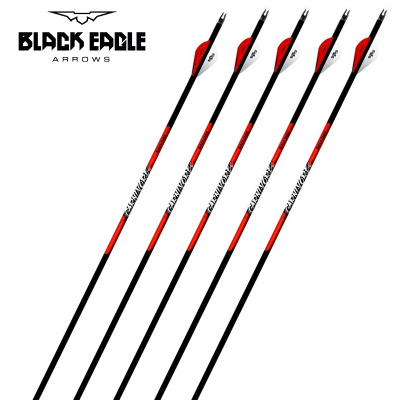 Стрелы Black Eagle Carnivore 6 шт